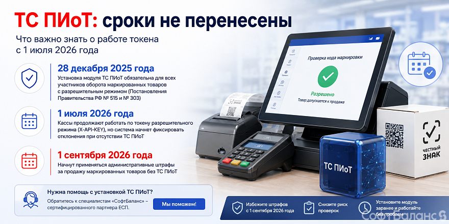 ТС ПИоТ: сроки не перенесены. Что важно знать о работе токена с 1 июля 2026 года